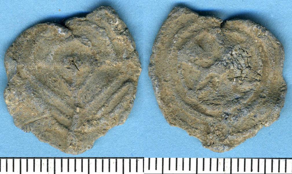 Not a Seal, Token, Flower