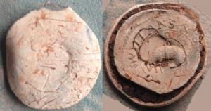 Cloth Seal, Clothier's Seal, Leeds, Willans & Son