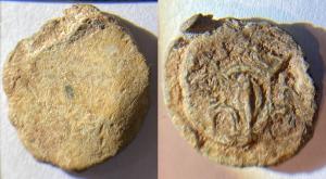 Cloth Seal, Alnage, Crowned Fleur-de-lis, Image & Found by Andrew Elliott