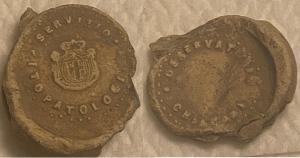 Italian, Kingdom of Italy, Fitopatologico Seal